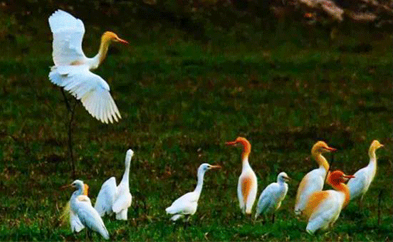 微信圖片_20200930133757 微信圖片_20200930133757