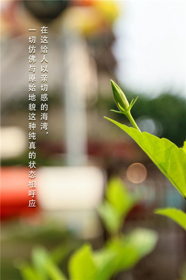 微信圖片_20200930133725 微信圖片_20200930133725