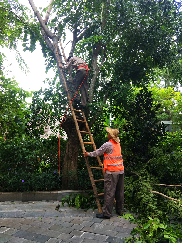 微信圖片_20201013162416 微信圖片_20201013162416