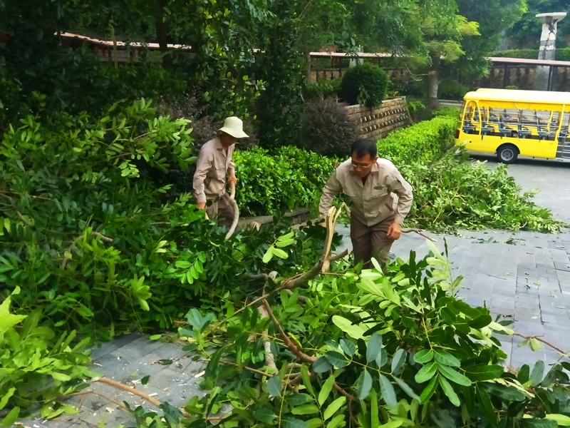 微信圖片_20201013162404 微信圖片_20201013162404