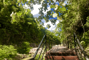 微信圖片_20201102222416 微信圖片_20201102222416