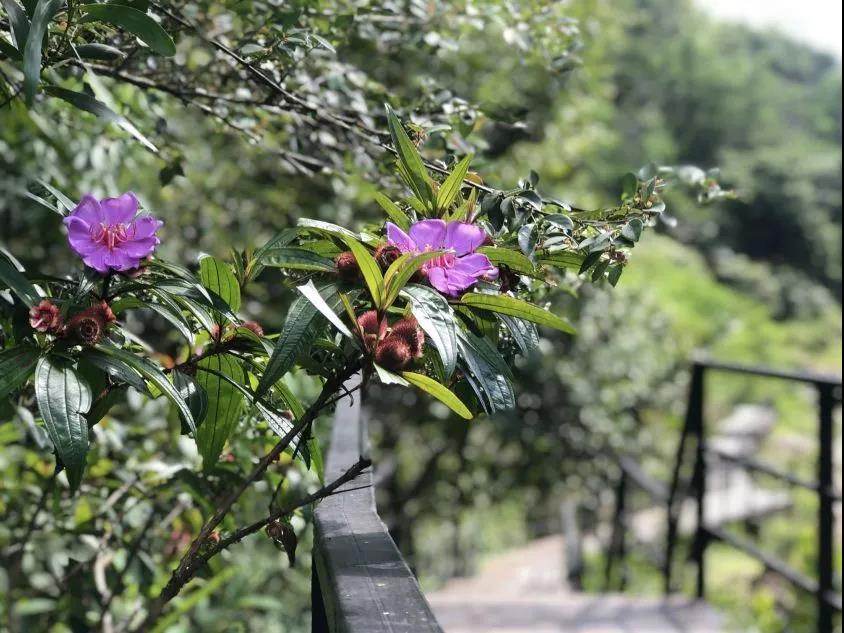 微信圖片_20201102222445 微信圖片_20201102222445