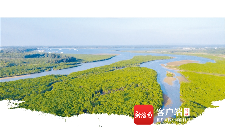 00320971689_0804028e