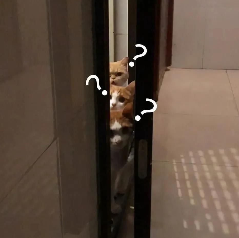 微信圖片_20201211152530