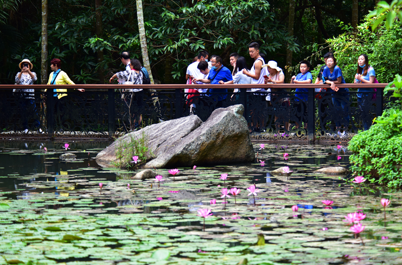 微信圖片_20201212100550 微信圖片_20201212100550