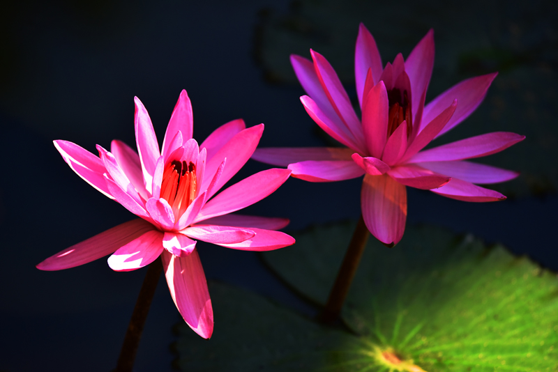 微信圖片_20201212100600 微信圖片_20201212100600