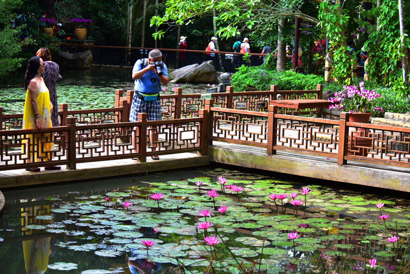 微信圖片_20201212100504 微信圖片_20201212100504