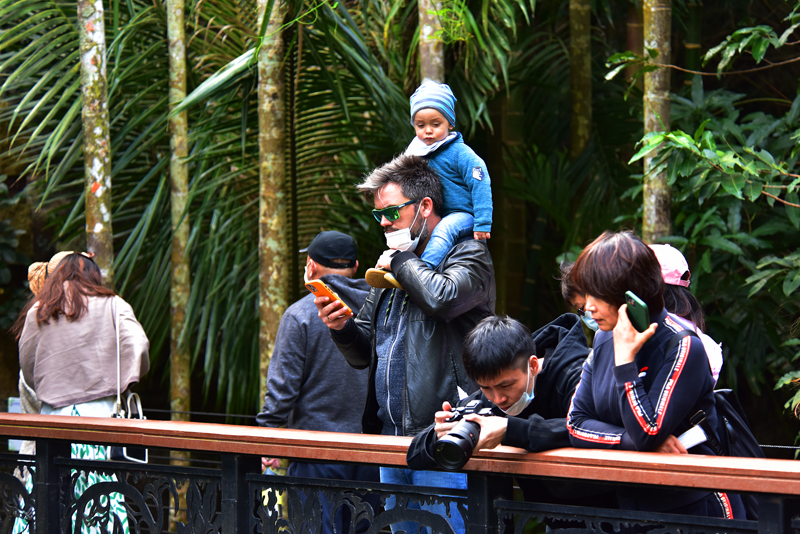 微信圖片_20210102114729 微信圖片_20210102114729