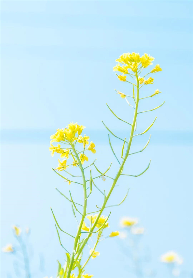 微信圖片_20210310150454