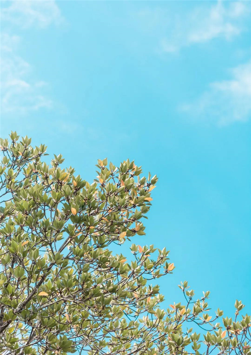 微信圖片_20210310150536