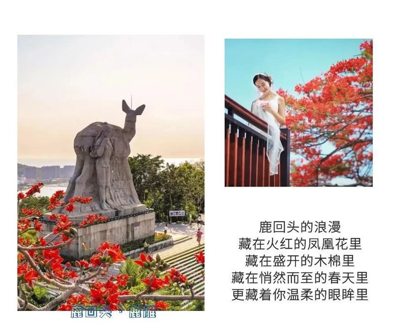 微信圖片_20210324093503 微信圖片_20210324093503