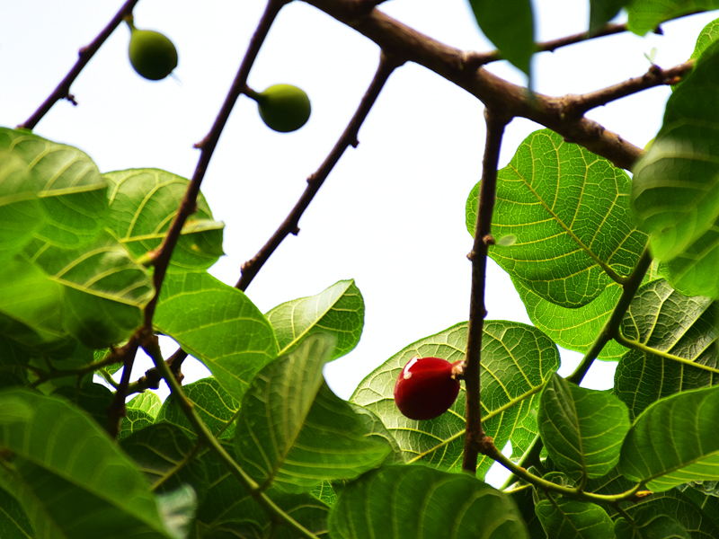 微信圖片_20210412150035 微信圖片_20210412150035