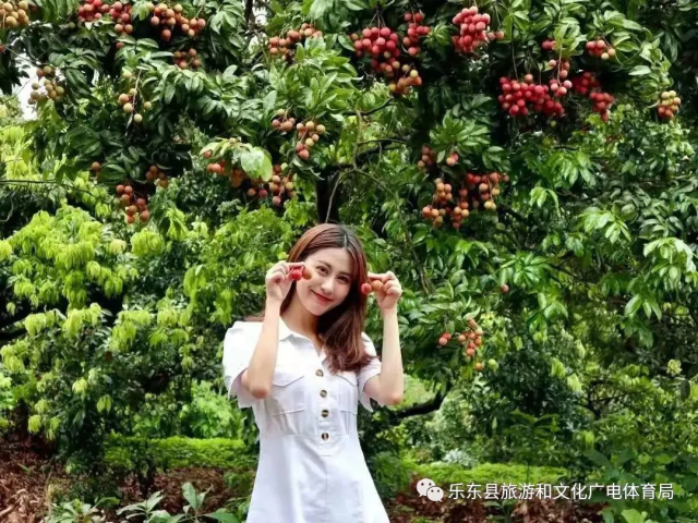 495EEBB5FEB447DEF4D55A776F544F71 495EEBB5FEB447DEF4D55A776F544F71