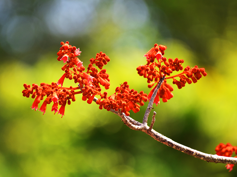 微信圖片_20210427112638