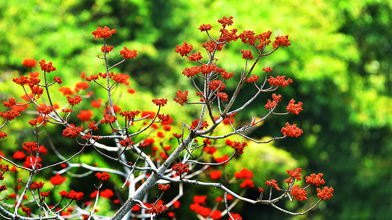 微信圖片_20210427112516 微信圖片_20210427112516