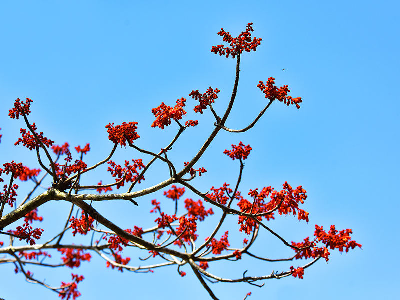 微信圖片_20210427112629 微信圖片_20210427112629