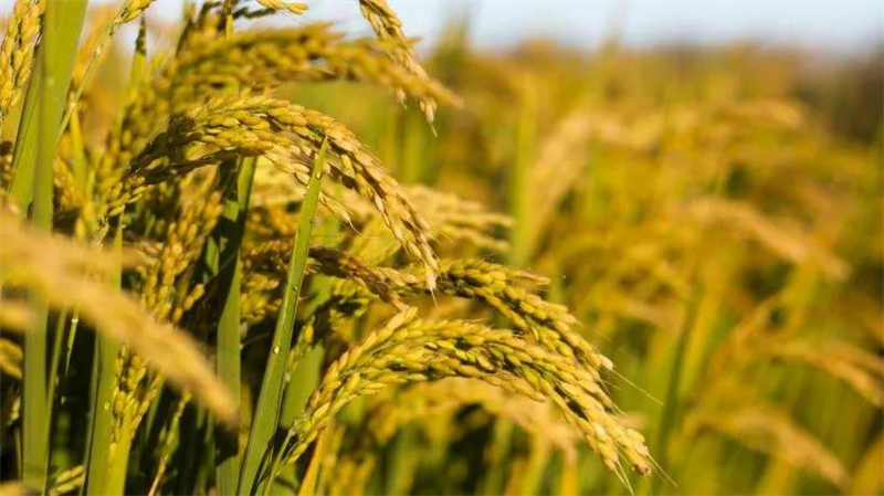 微信圖片_20210430184115 微信圖片_20210430184115