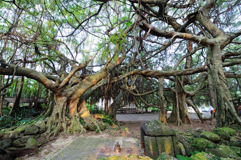 微信圖片_20210517094708 微信圖片_20210517094708