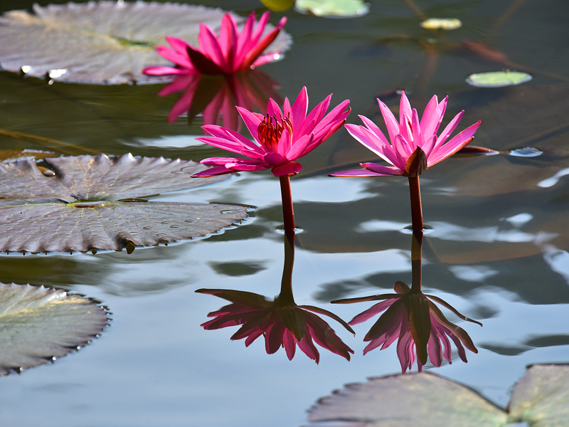 微信圖片_20220113105226 微信圖片_20220113105226