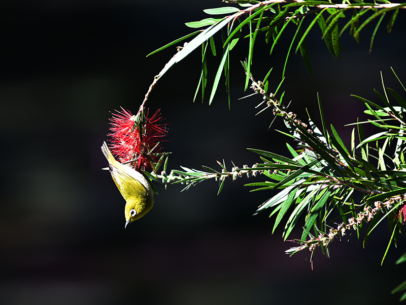 微信圖片_20220310173407 微信圖片_20220310173407