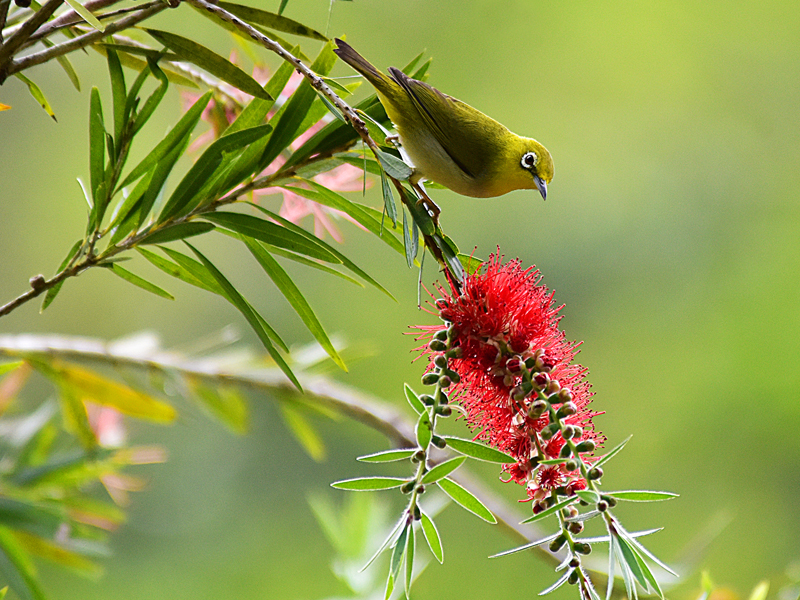 微信圖片_20220310173403 微信圖片_20220310173403