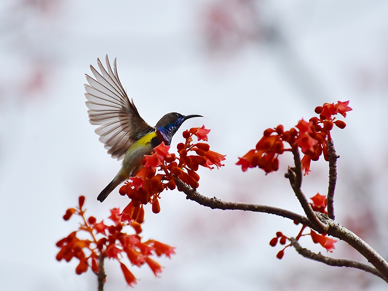 微信圖片_20220505172547