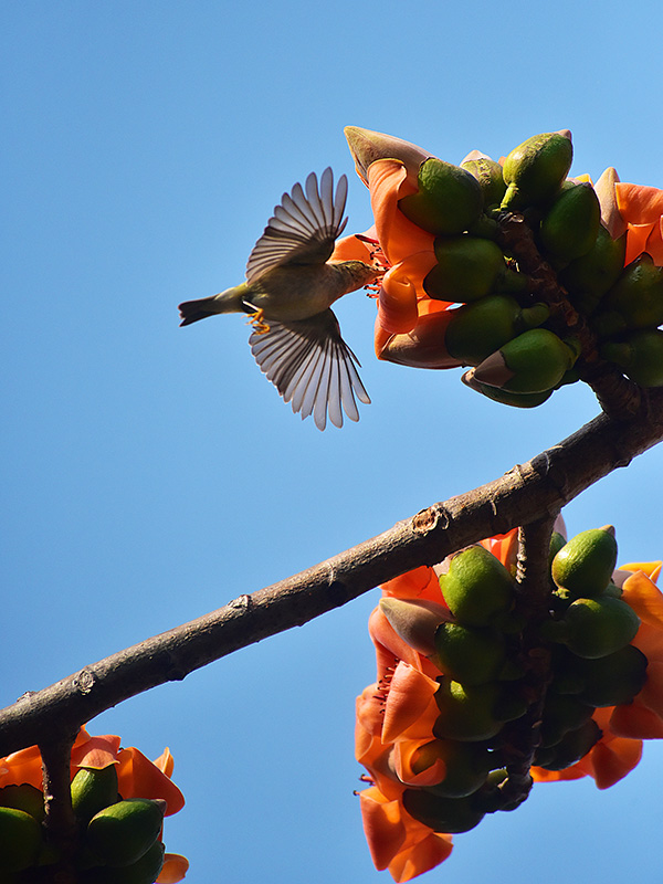 微信圖片_20230220153611