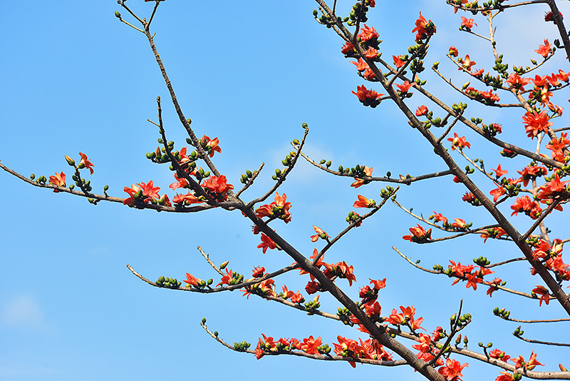 微信圖片_20230220153647