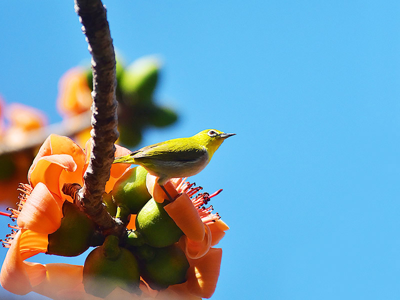 微信圖片_20230220153654