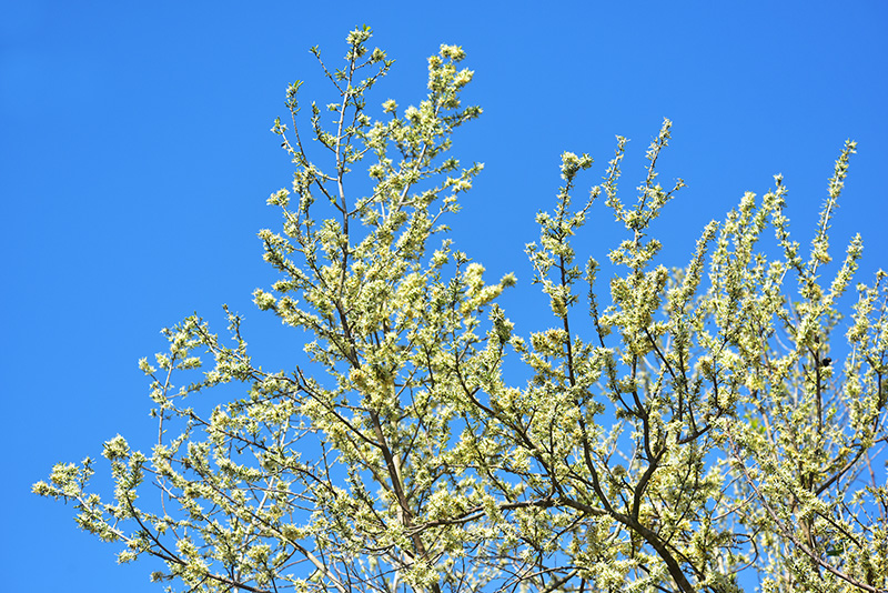 微信圖片_20230228191824