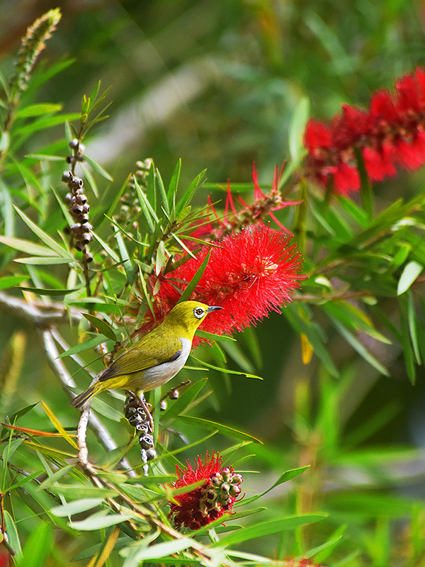 微信圖片_20230313094909