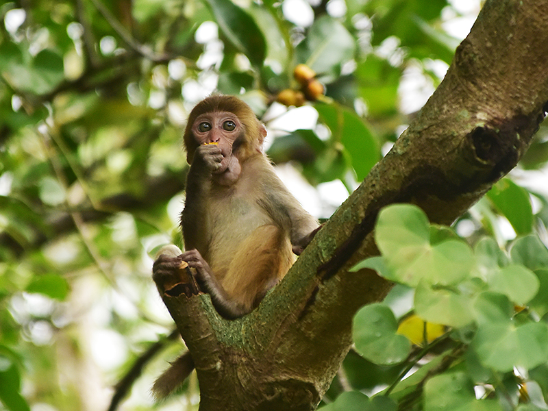 20230403100223_22449 (1)