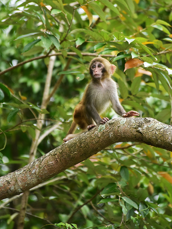 20230403100152_87512