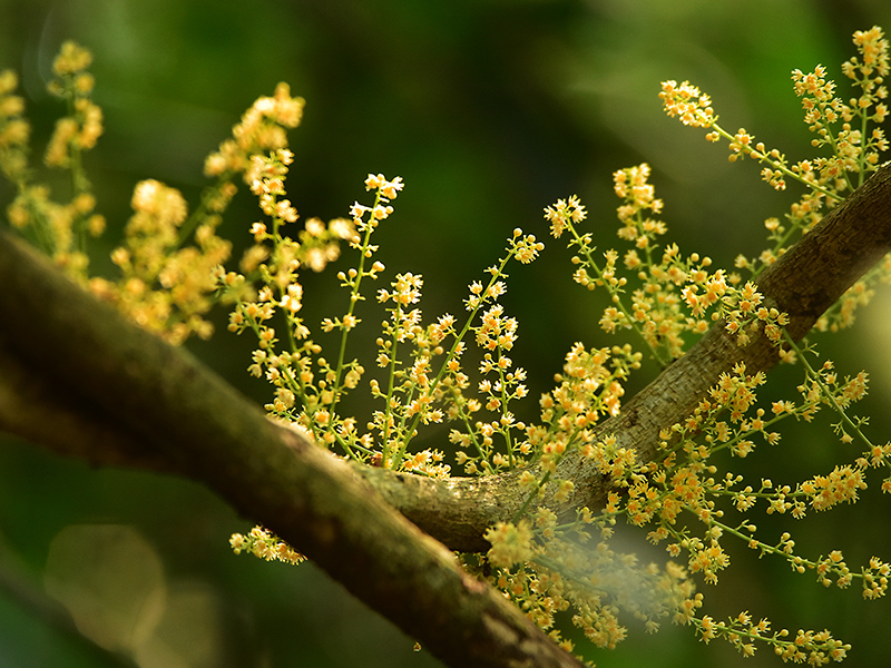 微信圖片_20230419165206 微信圖片_20230419165206