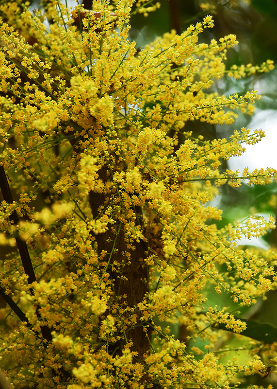 微信圖片_20230419165248 微信圖片_20230419165248