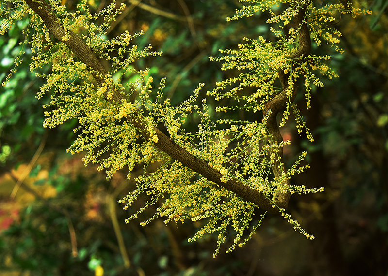 微信圖片_20230419165144 微信圖片_20230419165144