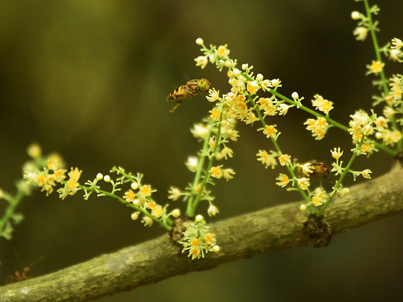 微信圖片_20230419165311 微信圖片_20230419165311