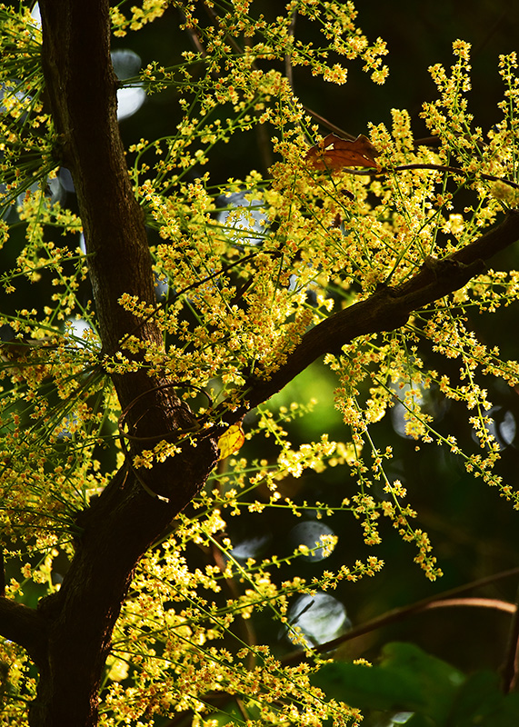 微信圖片_20230419165241 微信圖片_20230419165241