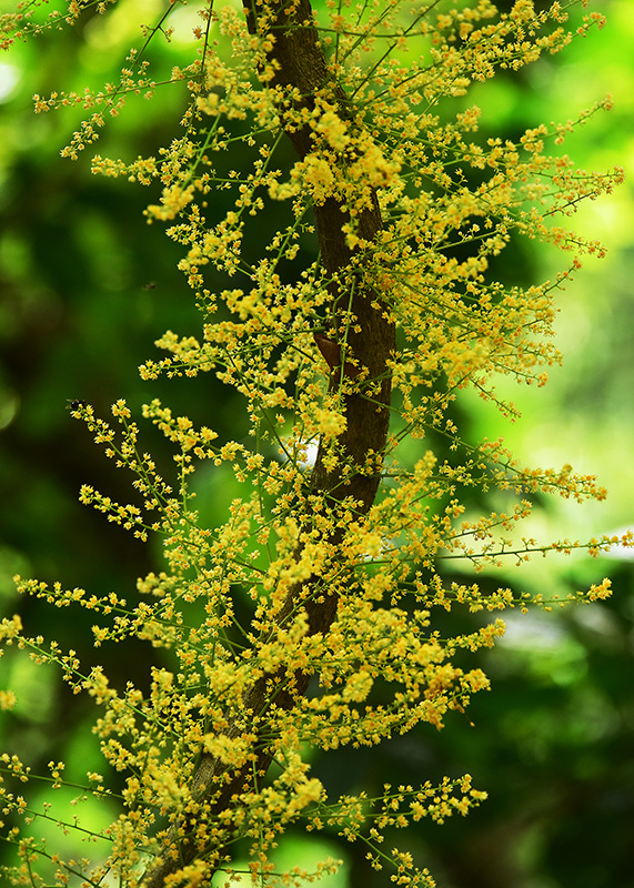 微信圖片_20230419165257 微信圖片_20230419165257