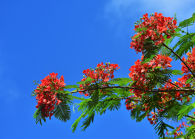 20230605143959_35458 20230605143959_35458