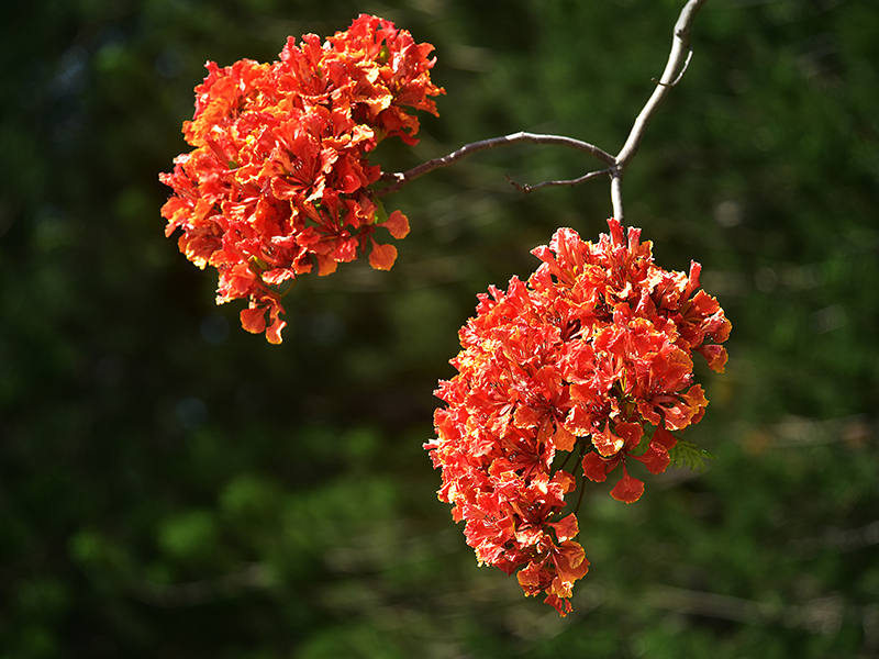 20230605143923_53879 20230605143923_53879