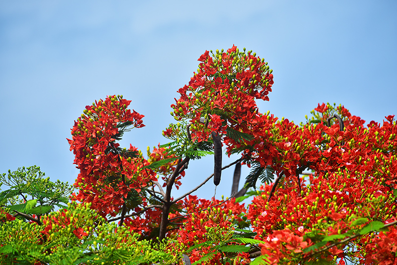 20230605143942_77462 20230605143942_77462