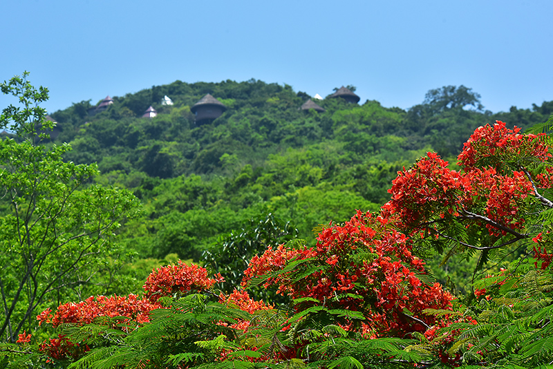 20230605143805_45656 20230605143805_45656