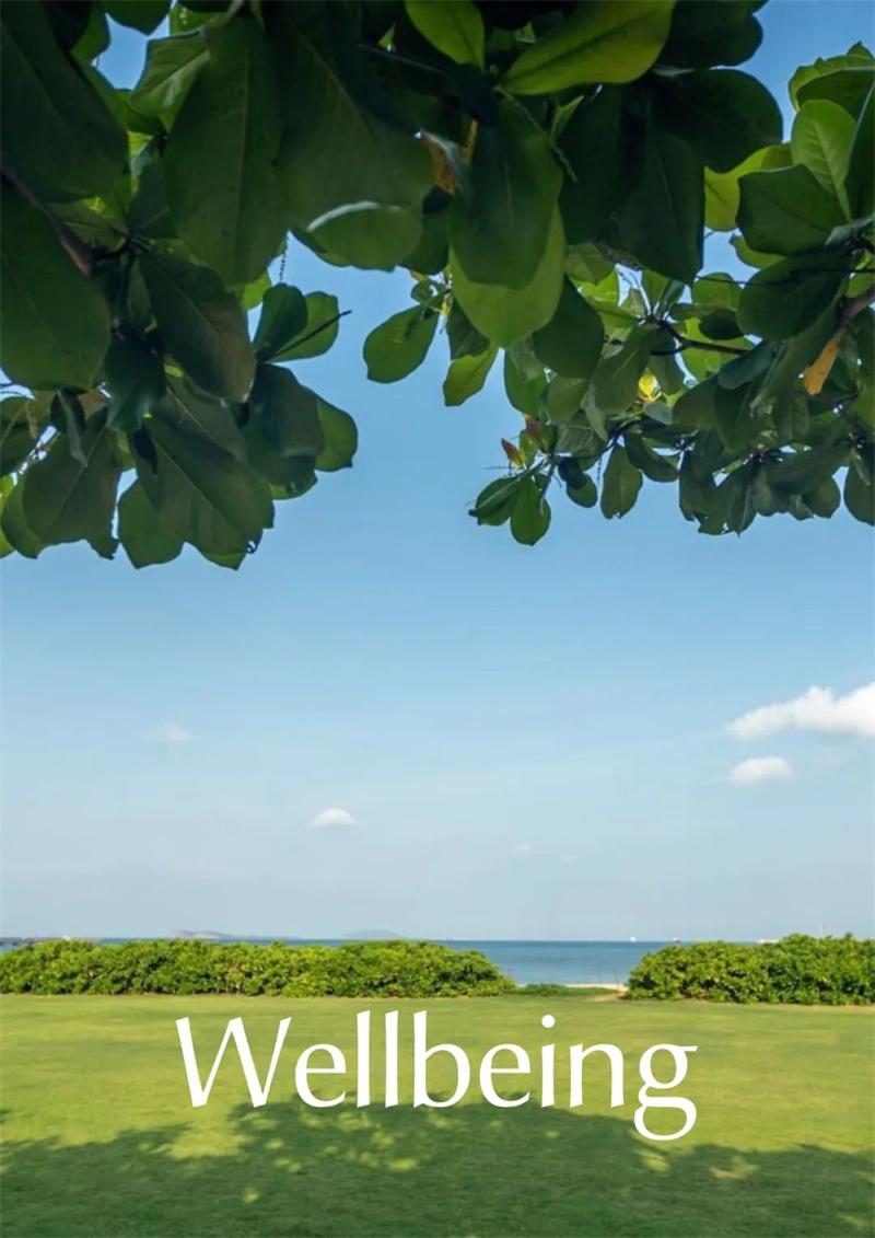 微信圖片_20230614155112 微信圖片_20230614155112