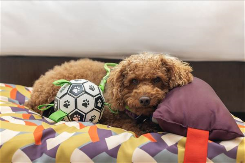 微信圖片_20230829165143_1 微信圖片_20230829165143_1