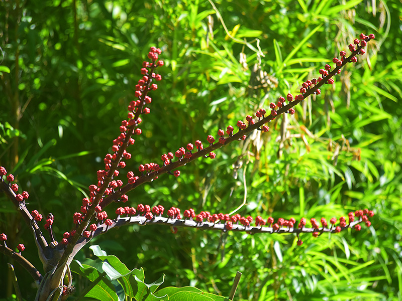 20230923154751_56523