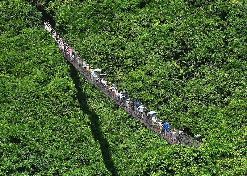 20231006191333_14083 20231006191333_14083