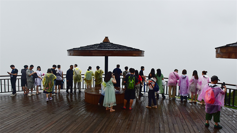 20231108222430_85114