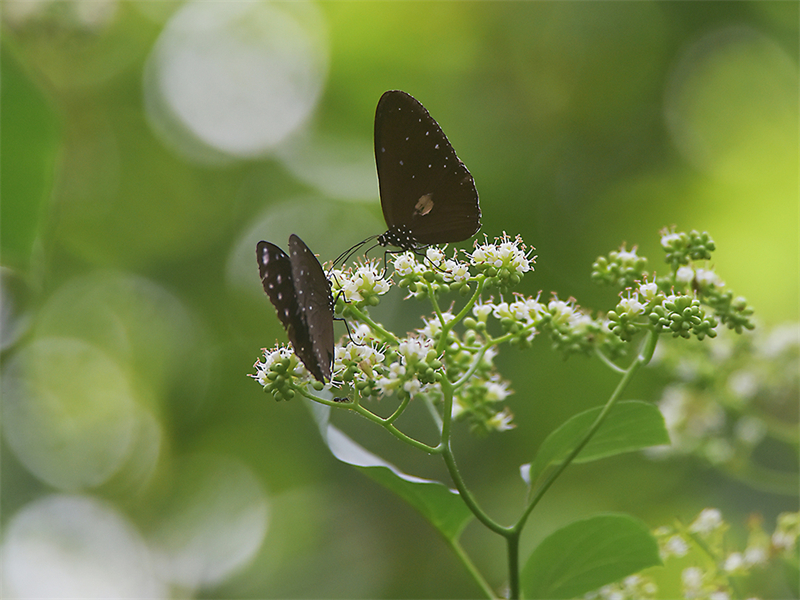 20231117100419_48077