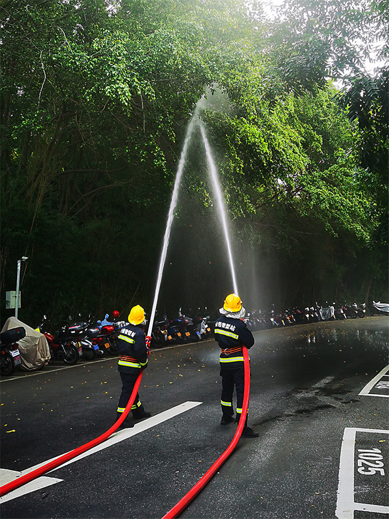 20231201174900_96117 20231201174900_96117